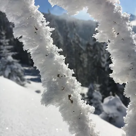 Casa de hóspedes Za Vodou